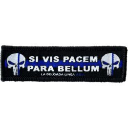 si vis pacem para bellum