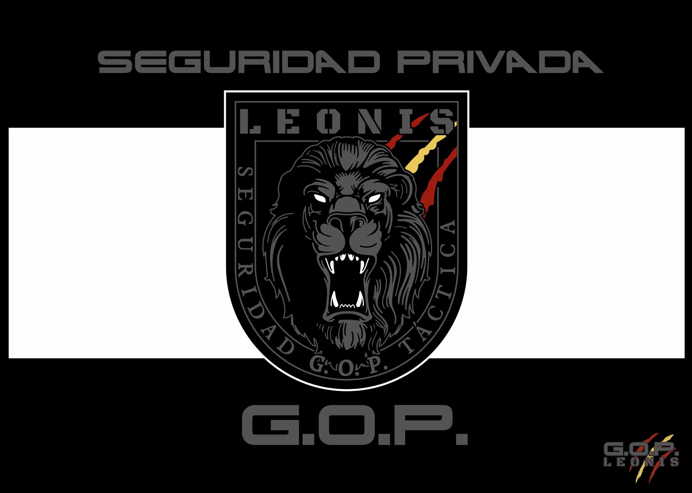 bandera LEO